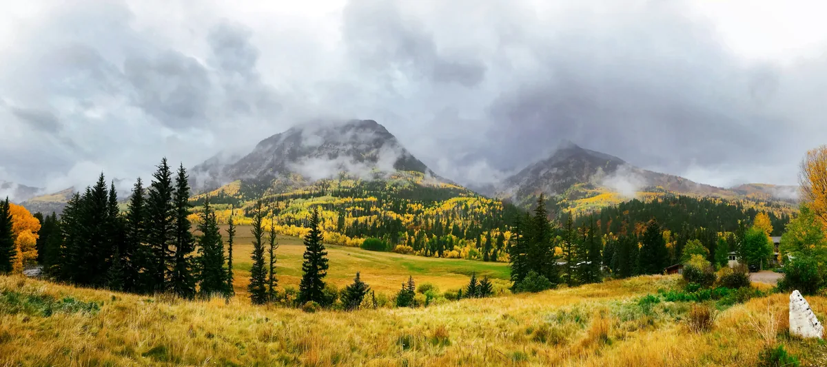 Aspen trees turning gold on the slopes above Carbondale, with clouds on the peaks